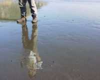 Man Reflected in Sand