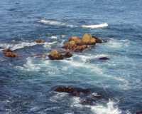 Rocky Waters