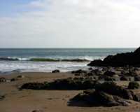 Sunny Beach